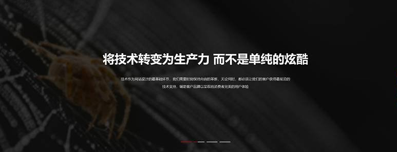 柳市网页设计公司网站哪家强？