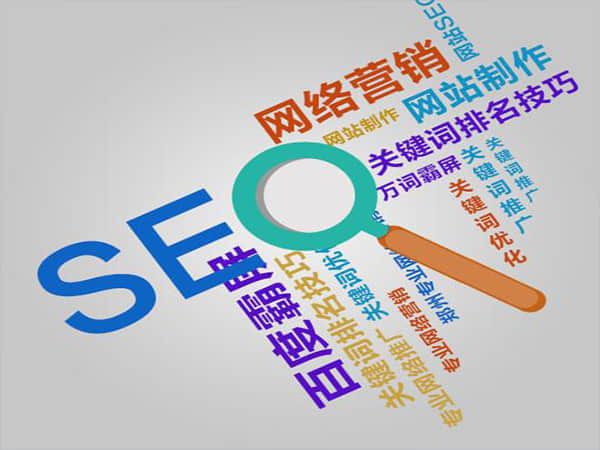 柳市知名SEO优化哪家强？揭秘SEO行业翘楚